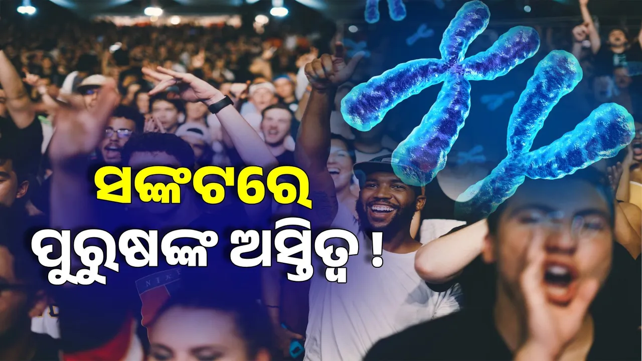  ଲୋପ ପାଇବ ପୁରୁଷ ବଂଶ ! ହ୍ରାସ ପାଉଛି ‘ୱାଇ’ କ୍ରୋମୋଜୋମ୍