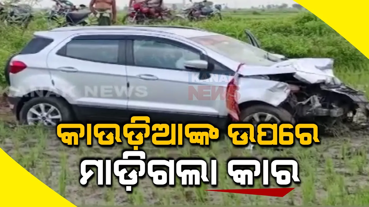  କାଉଡିଆଙ୍କ ଉପରେ ମାଡିଗଲା କାର