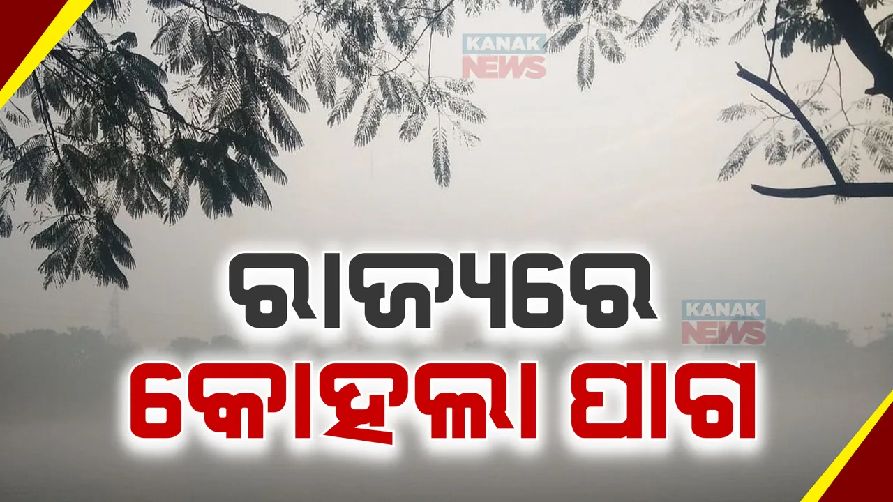  ବଙ୍ଗୋପସାଗରରେ ସକ୍ରିୟ ଗୁରୁଚାପ ବଳୟ । ପ୍ରଭାବରେ ଉପକୂଳ ଓଡ଼ିଶା ସମେତ ଉତ୍ତର ଓଡ଼ିଶାରେ କୋହଲା ପାଗ । ୩ ଦିନ ଯାଏଁ ଘନ କୁହୁଡ଼ି ଆଶଙ୍କା ।