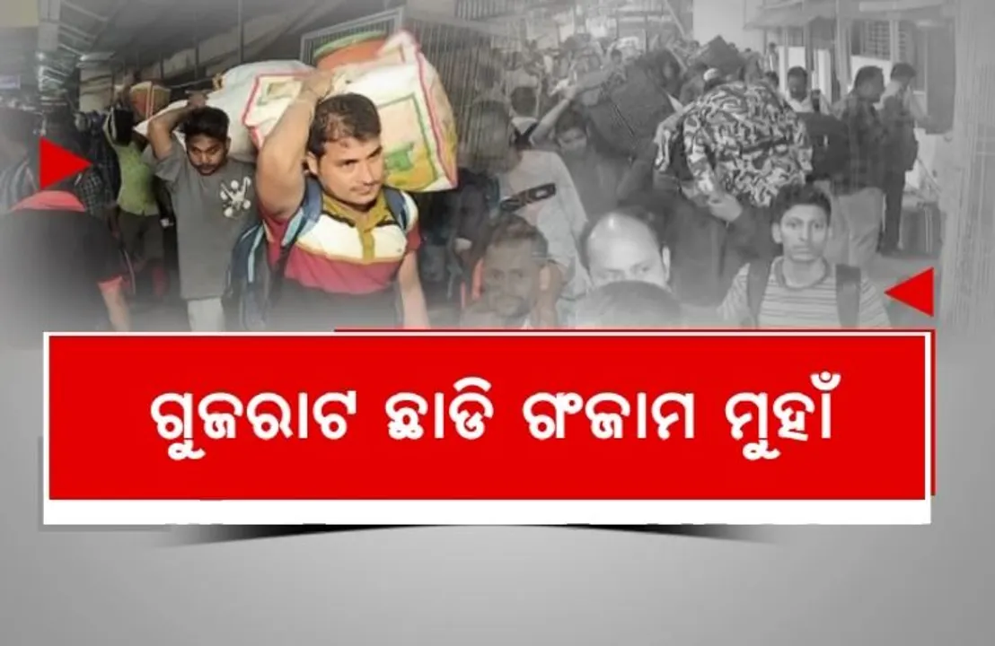  ଭୋଟ ପାଇଁ ଜନ୍ମମାଟିରୁ ଆସିଛି ଡାକରା । ଗାଁ ମୁହାଁ ହେଉଛନ୍ତି ବାହାର ରାଜ୍ୟରେ ଦାଦନ ଖଟୁଥିବା ଭୋଟର । ଗୁଜରାଟରୁ ବ୍ରହ୍ମପୁରକୁ ଲୋକଙ୍କ ସୁଅ