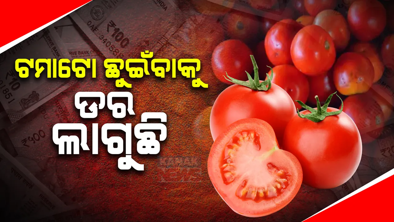  ଶ୍ରାବଣରେ ଆକାଶ ଛୁଆଁ ଟମାଟୋ ଦର ;  ୧୦୦ ଟଙ୍କା ପାର ହୋଇଛି ମୂଲ୍ୟ 