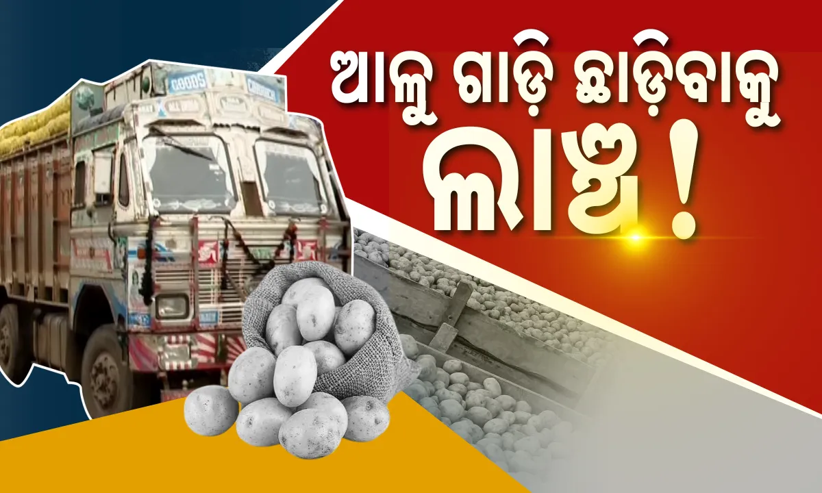  ଆକାଶଛୁଆଁ ଆଳୁ ଦର. ଚୋରା ବାଟ ଦେଇ ଲୁଚିଛପି ରାଜ୍ୟ ଭିତରକୁ ପ୍ରବେଶ କରୁଛି ଆଳୁ ବୋଝେଇ ଟ୍ରକ । ରିଆଲିଟୀ ଚେକ୍ କଲା କନକ ନ୍ୟୁଜ୍ ଟିମ୍