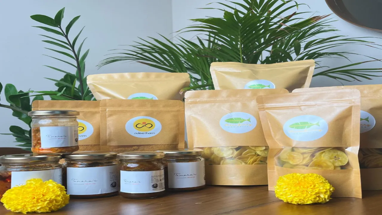 Image Courtesy: Tocco 2