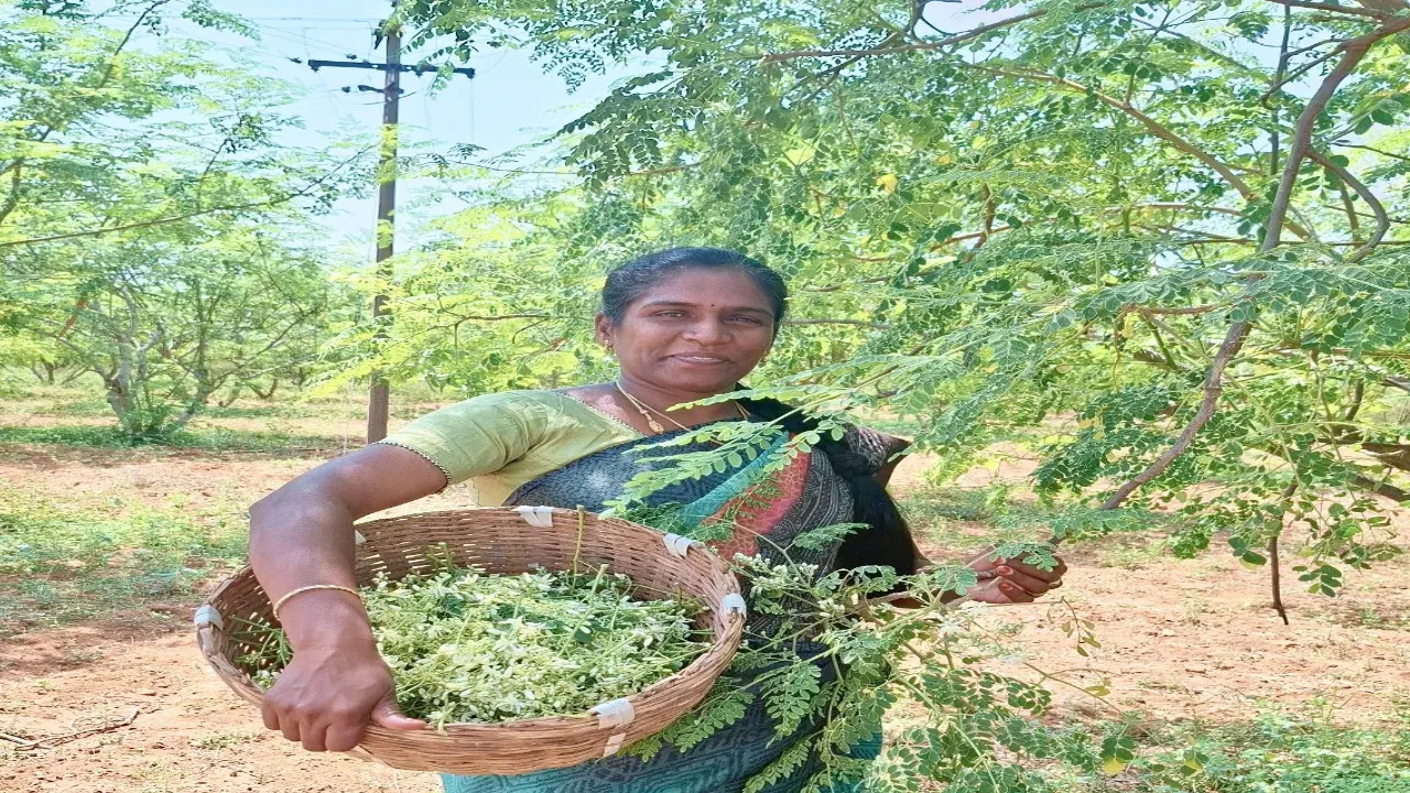 top agriculture startups in india
