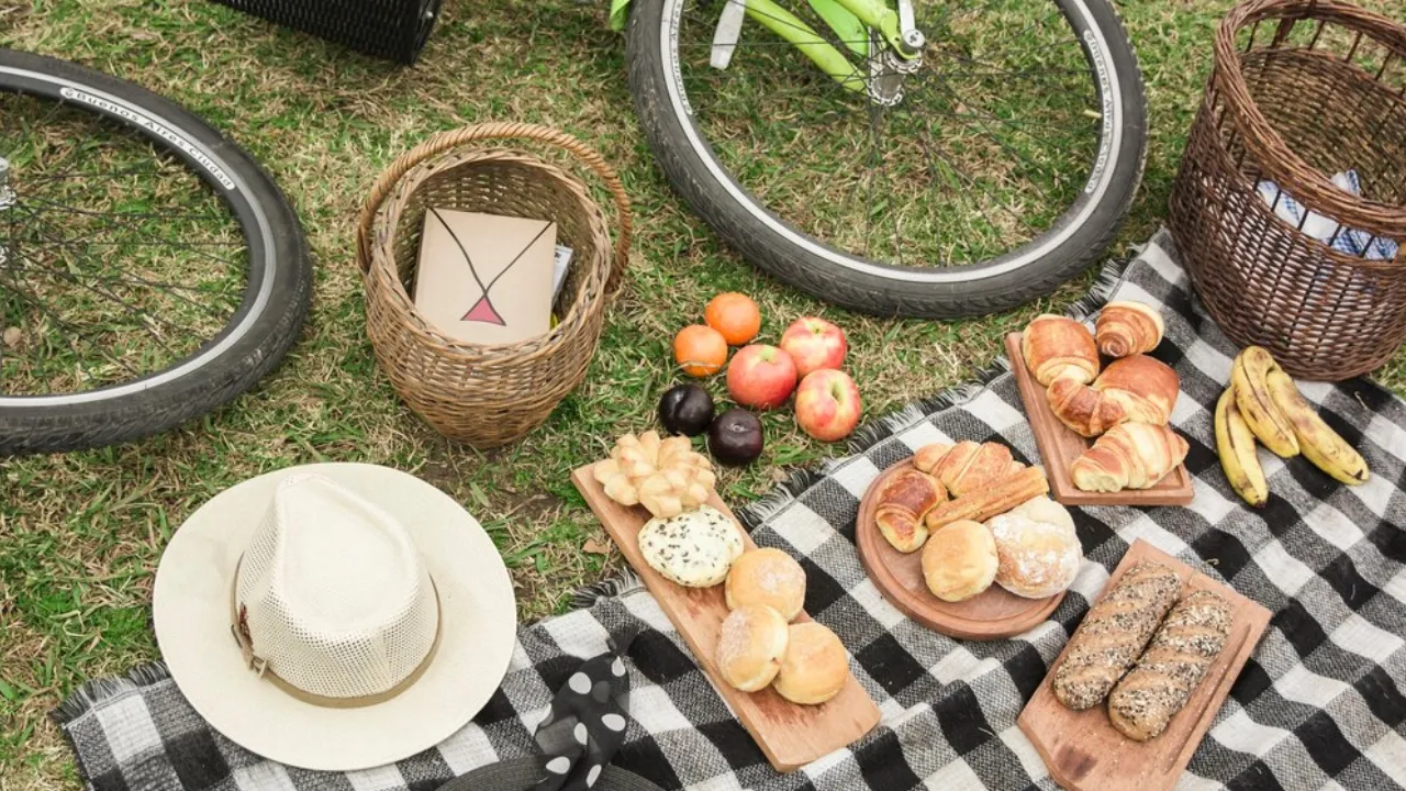 picnic essentials