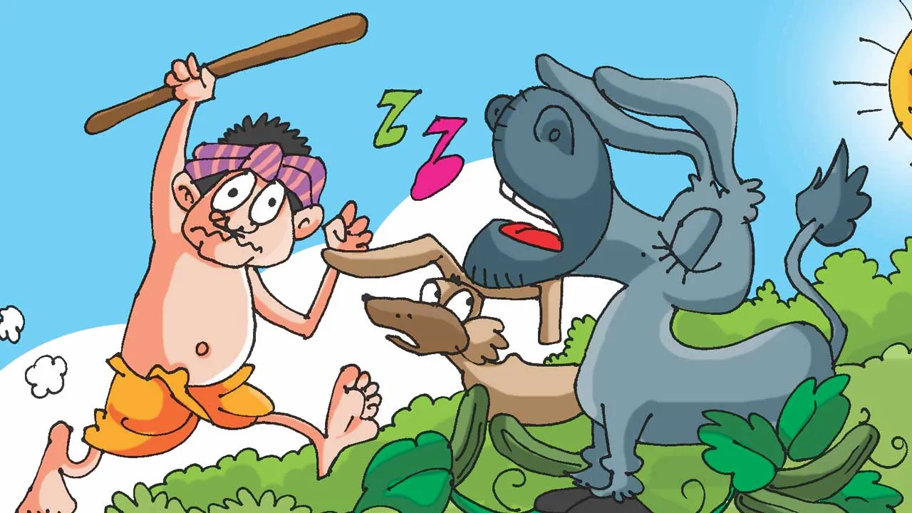 A Good Story - Harmonious Donkey