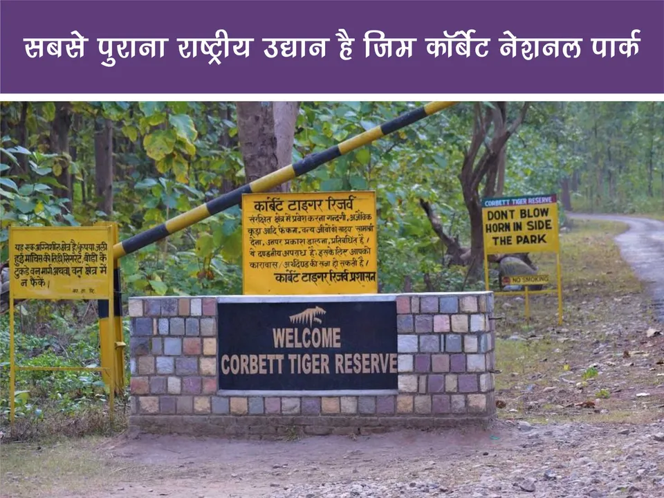 Jim corbett national park