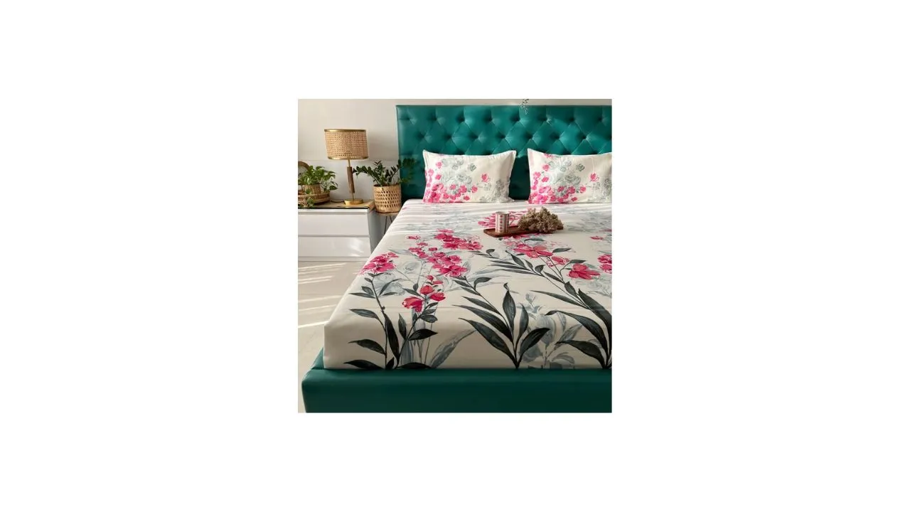 Urban Space Serene 100% Cotton Bedsheet