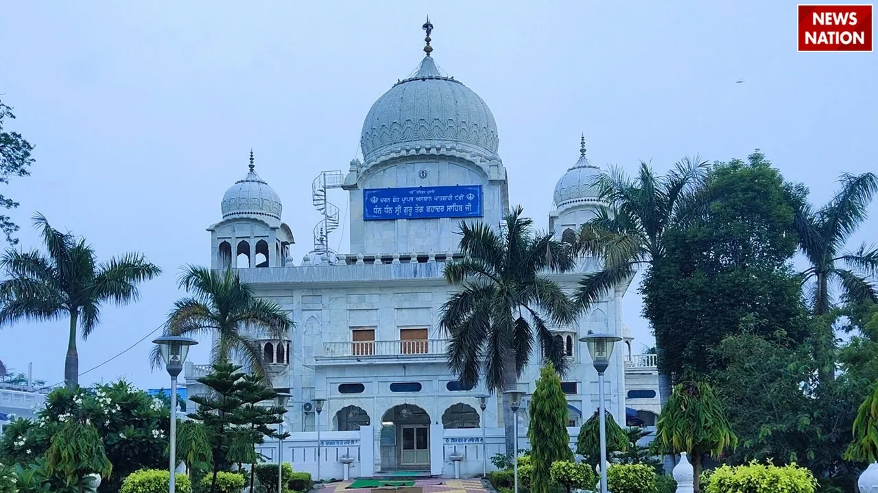 WhatsApp Image 2025-01-13 at 1.51.23 PM