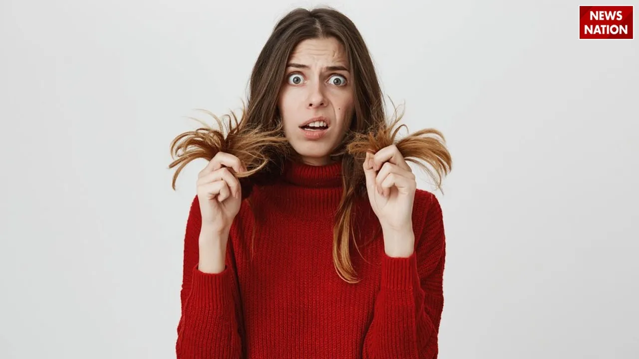 WhatsApp Image 2025-03-01 at 6.39.10 PM (1)