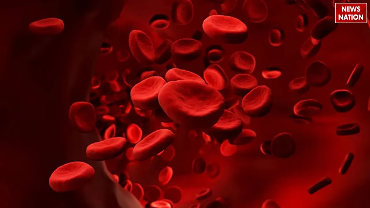 WhatsApp Image 2025-03-01 at 6.39.18 PM (1)