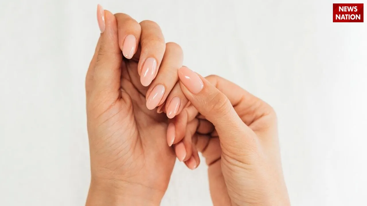 WhatsApp Image 2025-03-05 at 1.08.24 PM