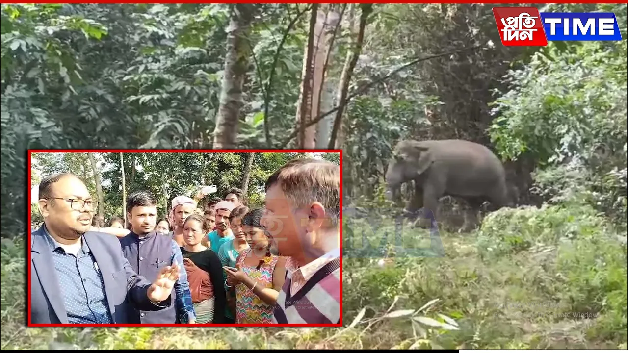 Clash Erupts in Assam’s Nalbari Between Locals & Forest Officials Amid Elephant Chase