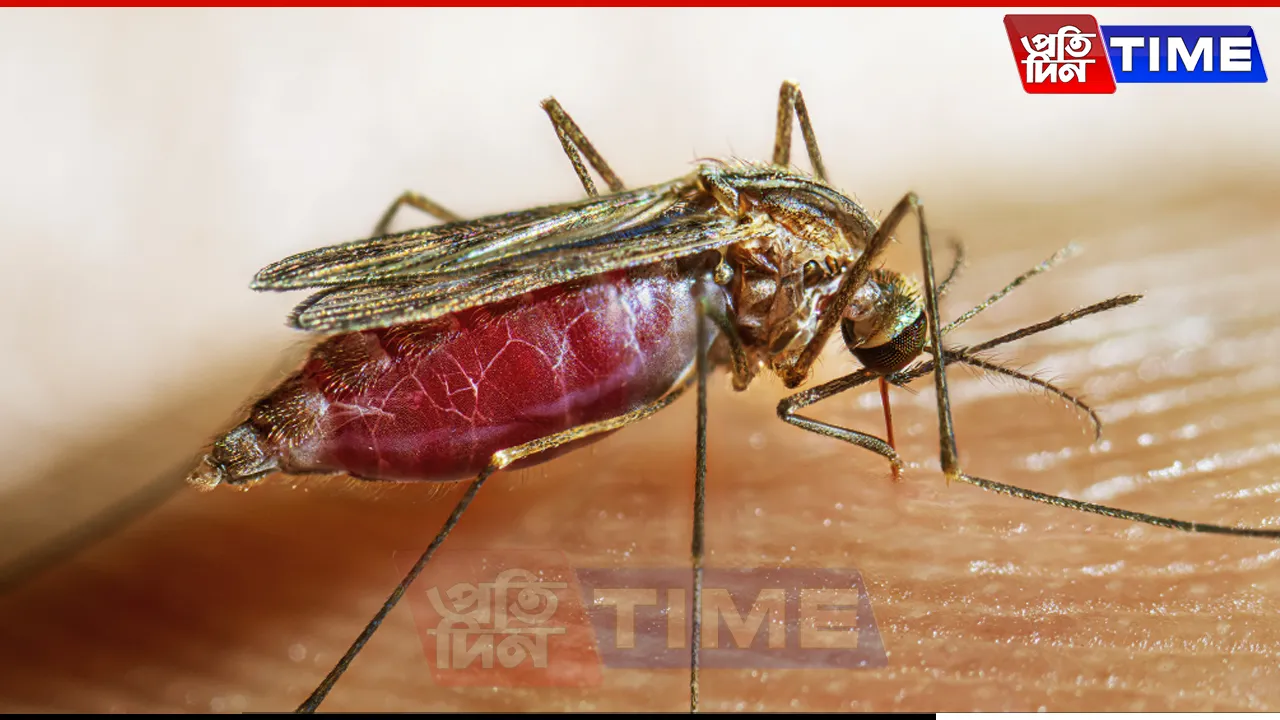India Set to Eradicate Malaria by 2030, Says Health Ministry