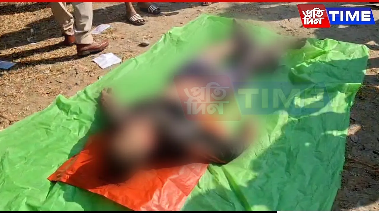 Guwahati: Wild Elephant Attack Near Rani, One Dead