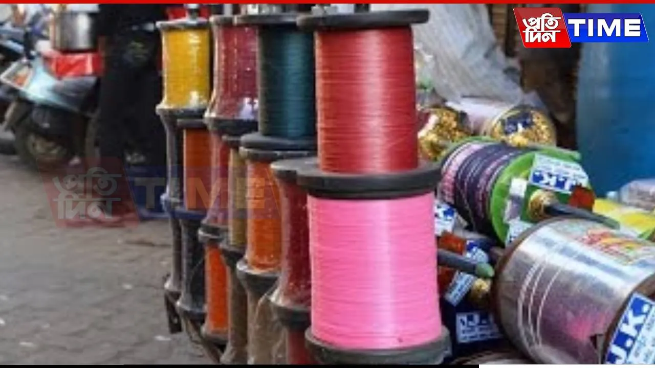 Chinese Manja Turns Festive Joy into Tragedy: HSI/India Raises Alarm