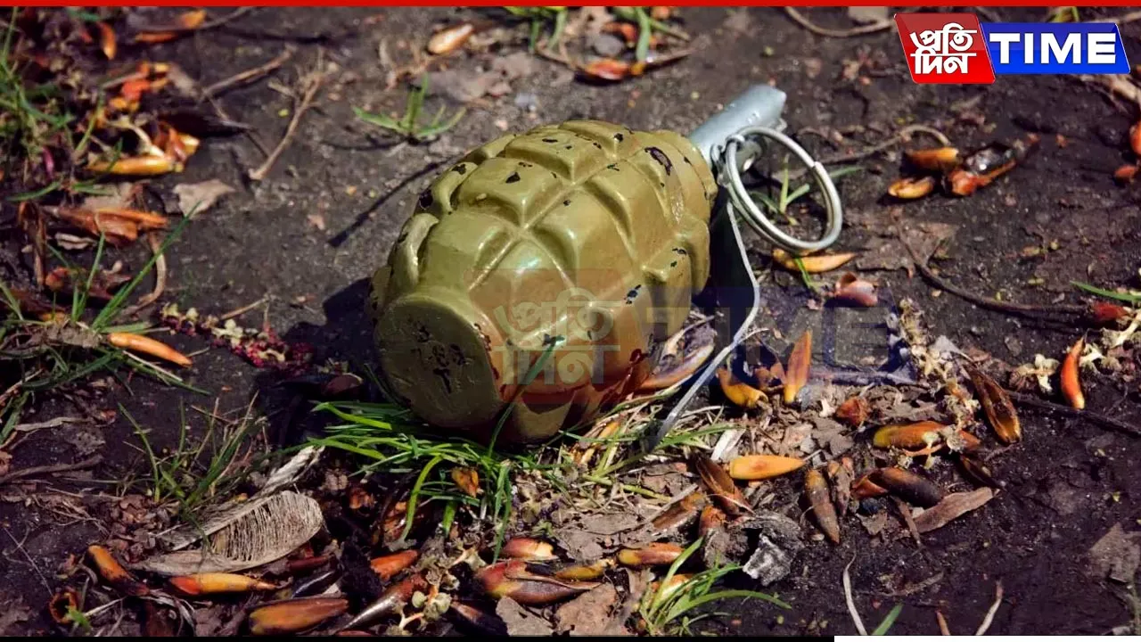 Assam: Two Grenades Found Near Residence in Sarupathar; Probe On