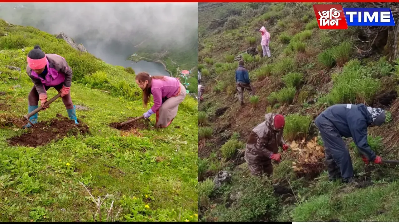 Sikkim: Tourism Spurt Prompts Plantation Of 50,000 Trees Around Tsomgo Lake