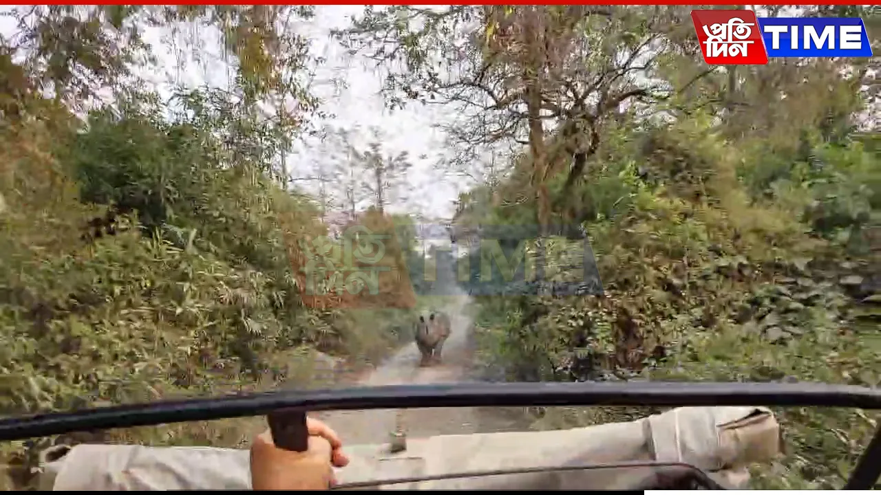 Assam: Rhino Attack on Tourist Vehicle at Manas National Park