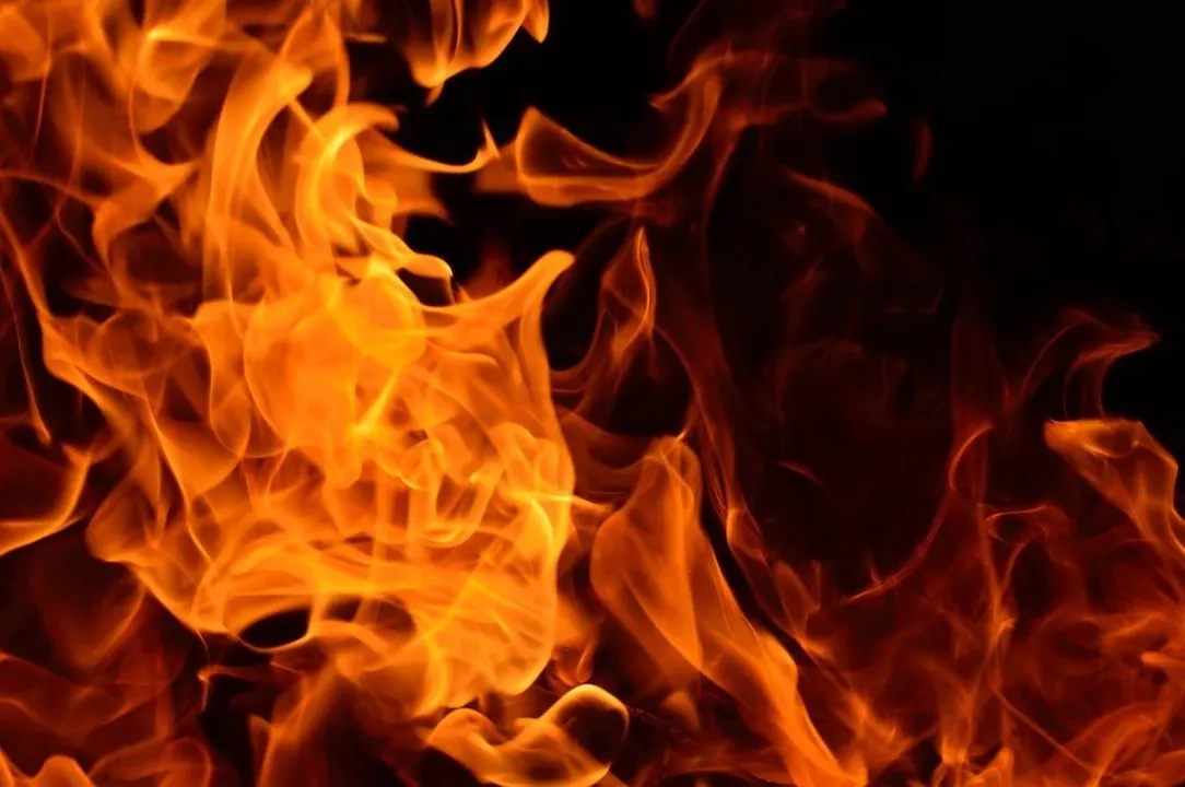 Assam: Nine Shops Gutted In Market Fire at Darrang