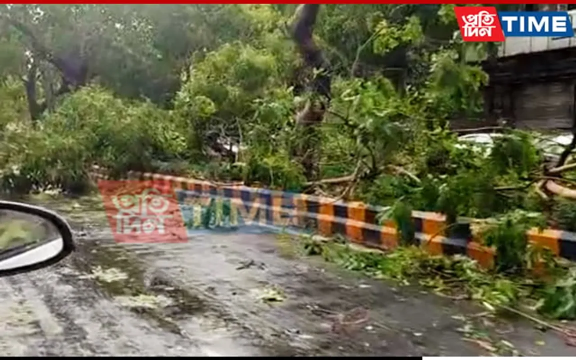 Thunderstorm Hits Delhi, Normal Life Disrupted