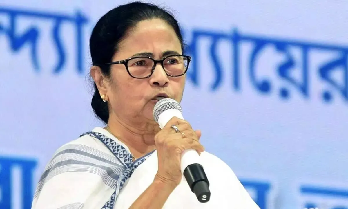 BJP's Elected Representatives 'Seasonal Birds’, Says Mamata