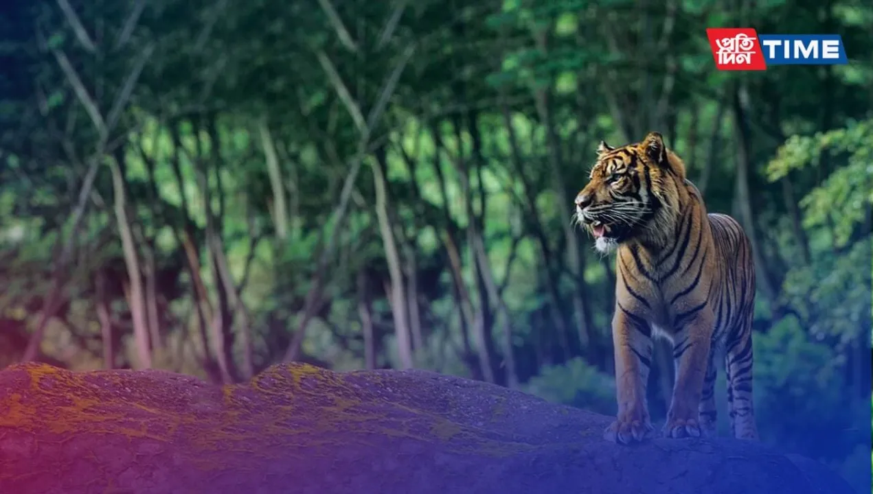 List of Famous Wildlife Sanctuaries of Assam