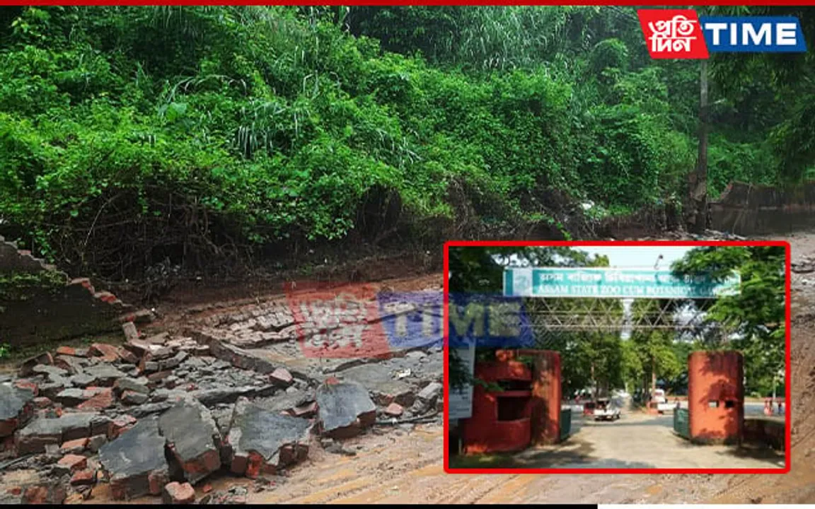 Guard Wall at Guwahati Zoo Collapses Amid Heavy Rain; Animals at Risk Of Escaping