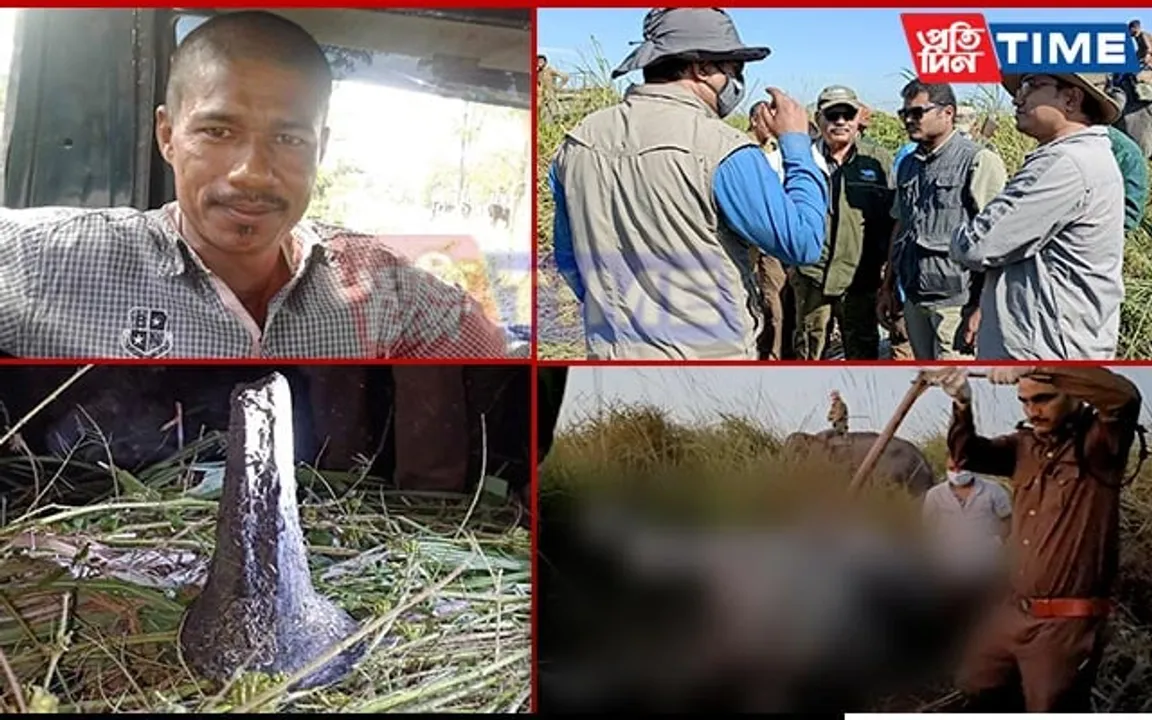 Man Arrested for Killing Rhino at Kaziranga with Spear Sent to Judicial Custody