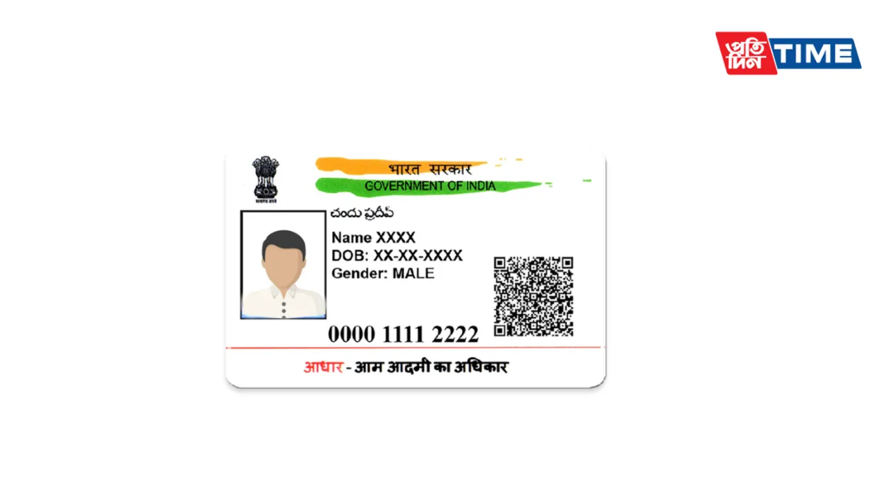 Checking Aadhaar Status Online and Managing Aadhaar Information