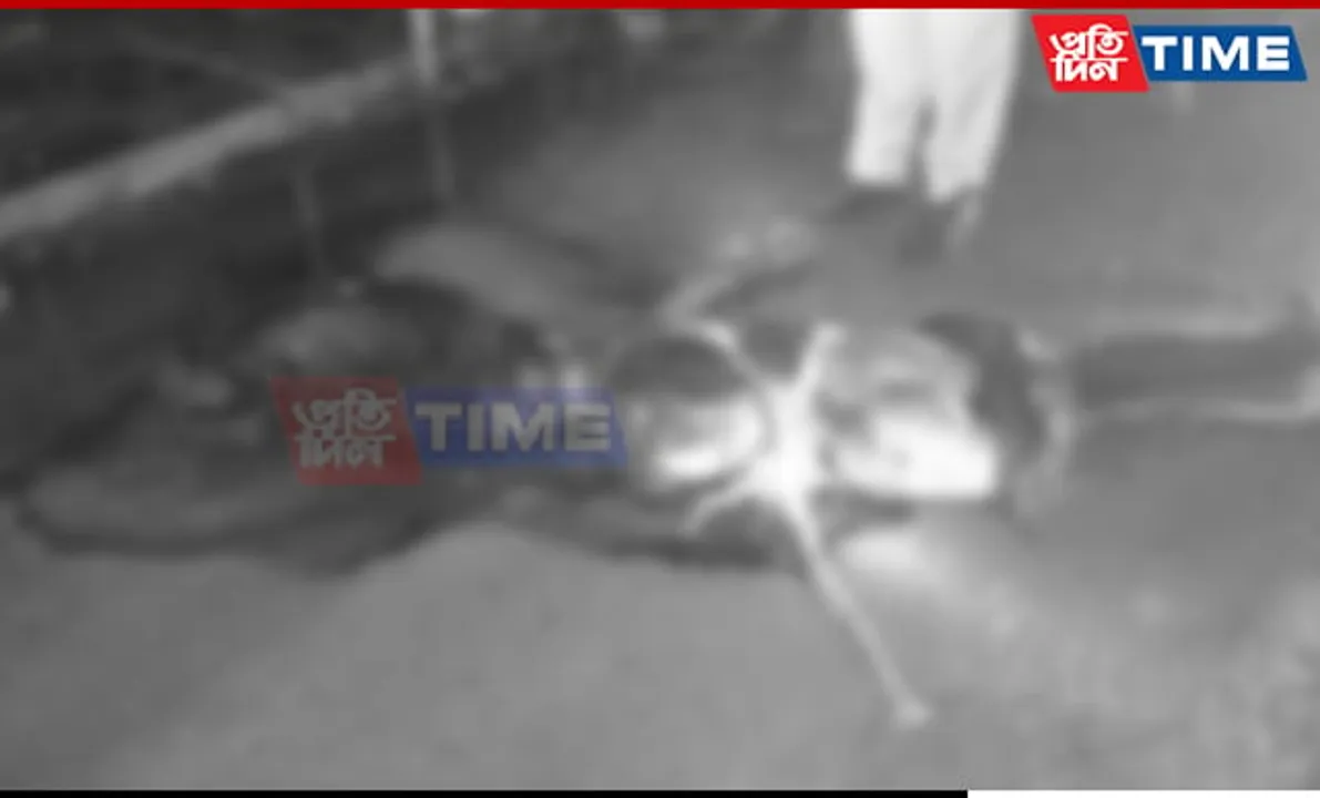 Guwahati Businessman Killed In Hit-and-Run Accident; Locals Suspect Murder