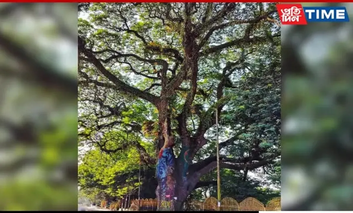 Dighalipukhuri Tree Felling: Key Meeting Held To Discuss Alternatives