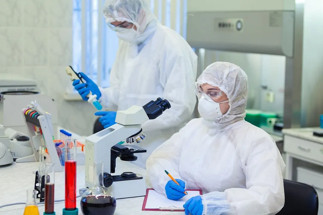 Study Finds Gut Bacteria Generate Neurotransmitters That Shape Immune System