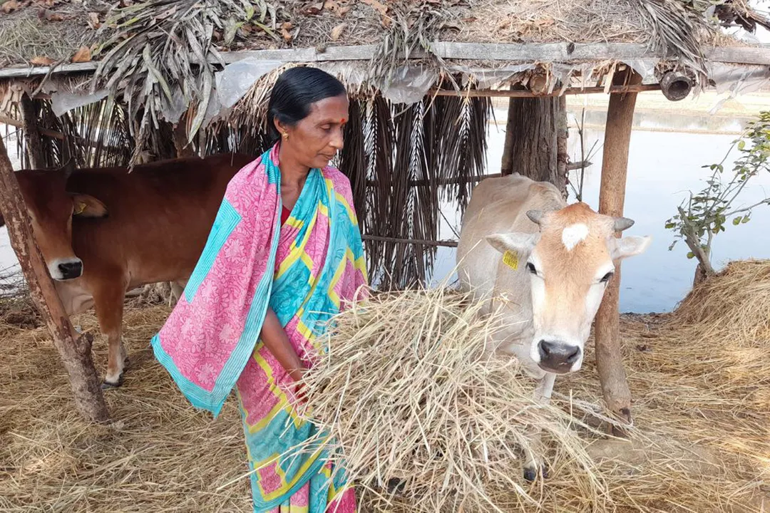 Sudha Pandey Uttar Pradesh 