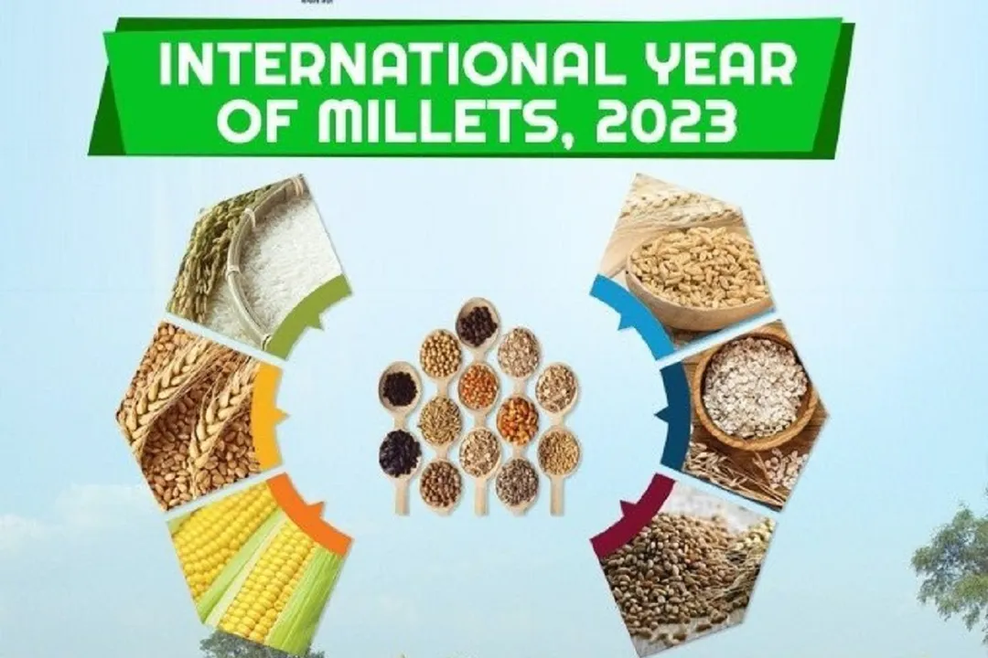 International Millet Year