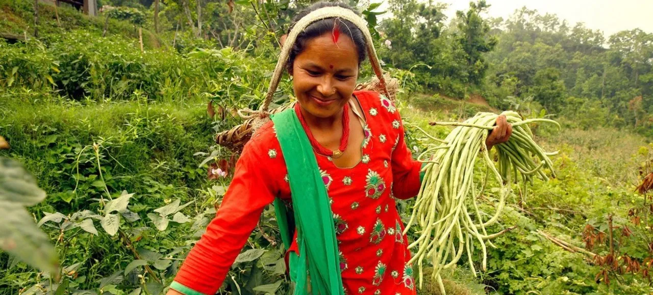 RURAL WOMEN UTTAR PRADESH IMAGES