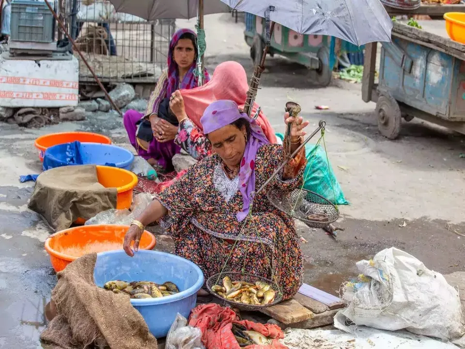 Duggardhani Kashmir SHG