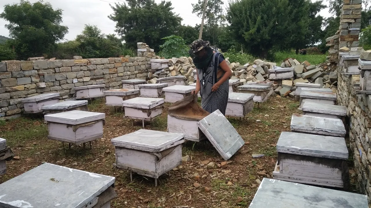 BEEKEEPING BOXES NMCH