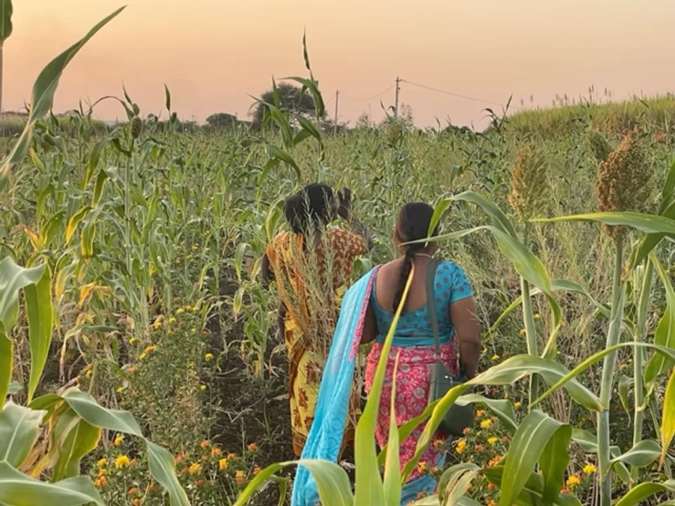 beej amma telangana