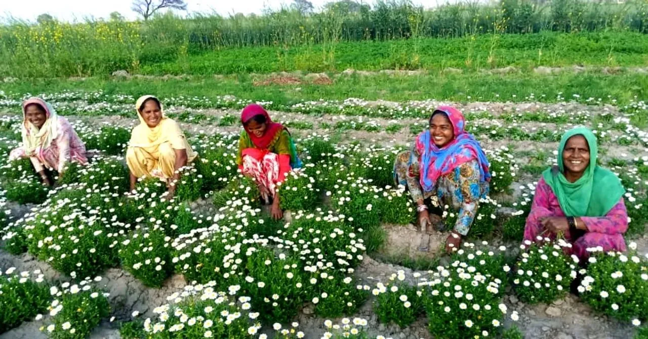 PUNJAB SHG WOMEN