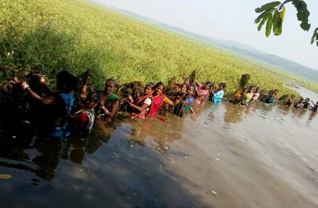 Odhisha women cleaning lakes news