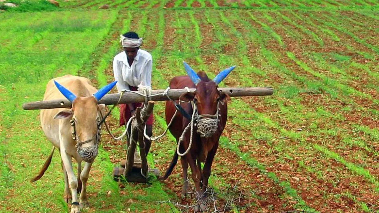 farmers-RTV