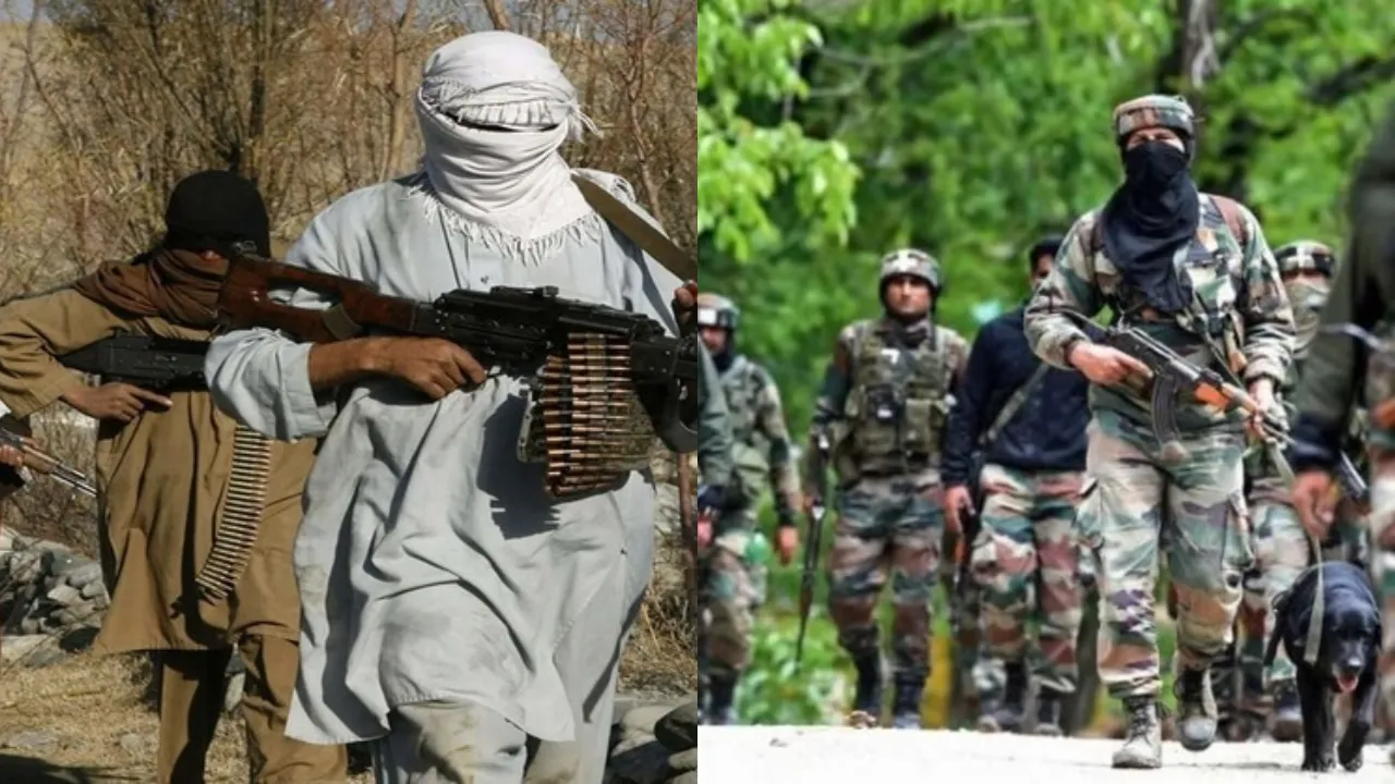 Terrorists and Army