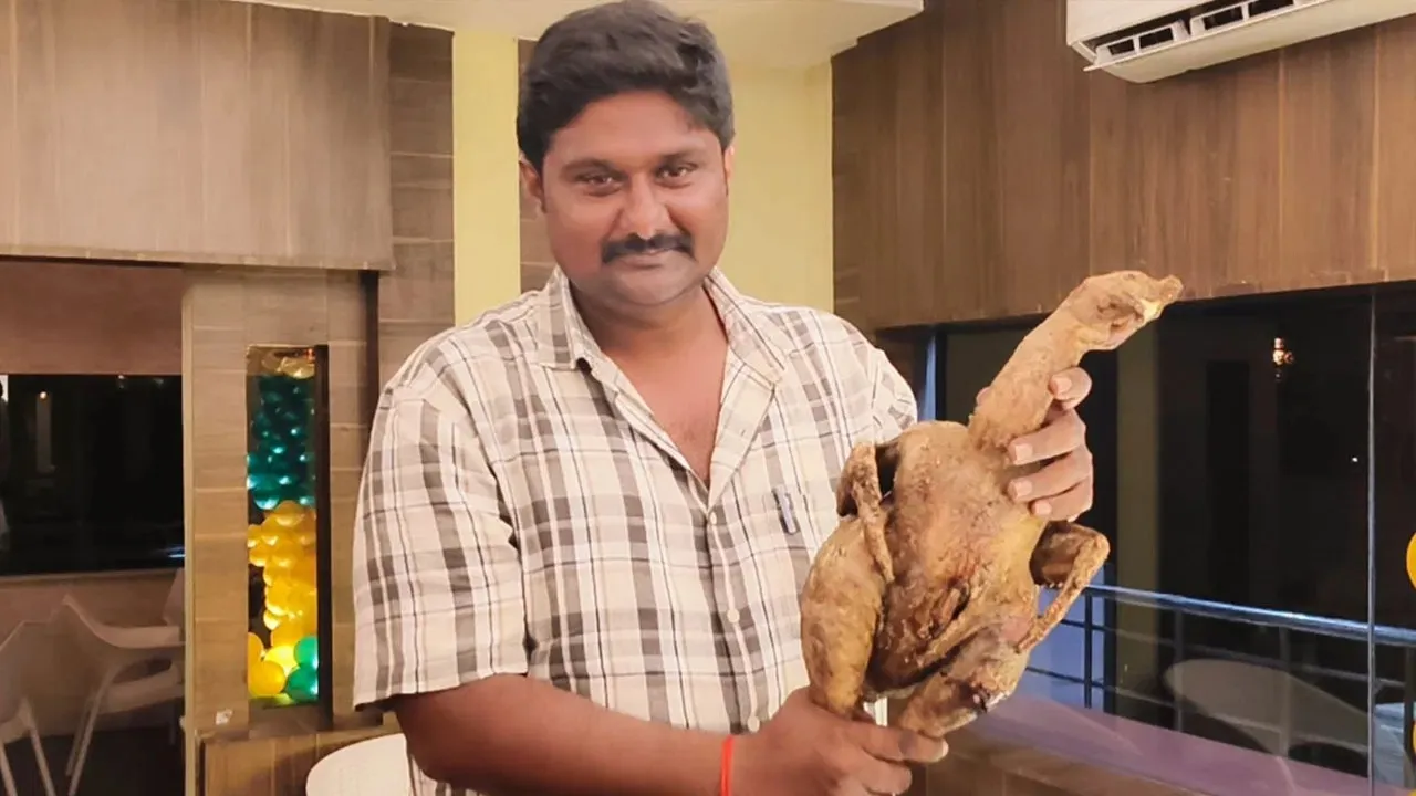 cock fighting 