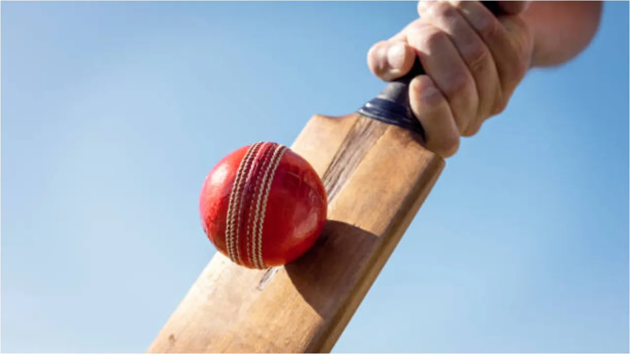 cricket