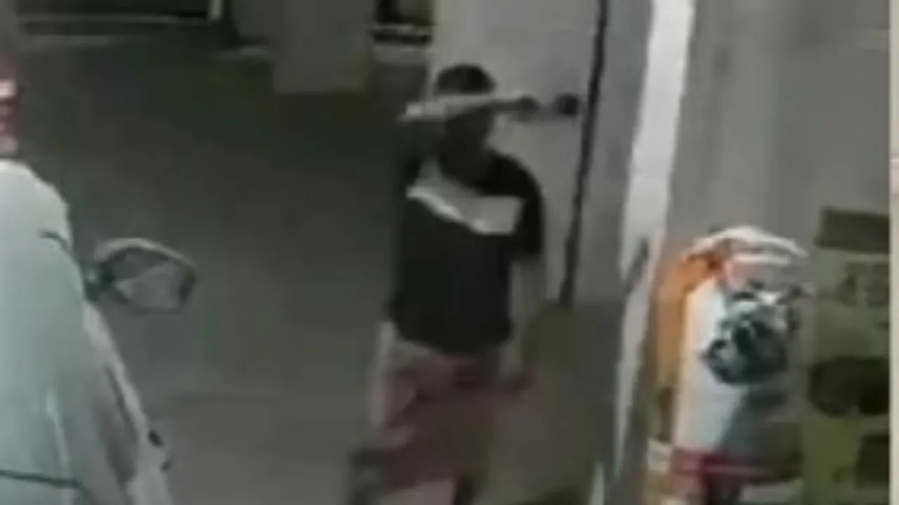 Pune dog rape