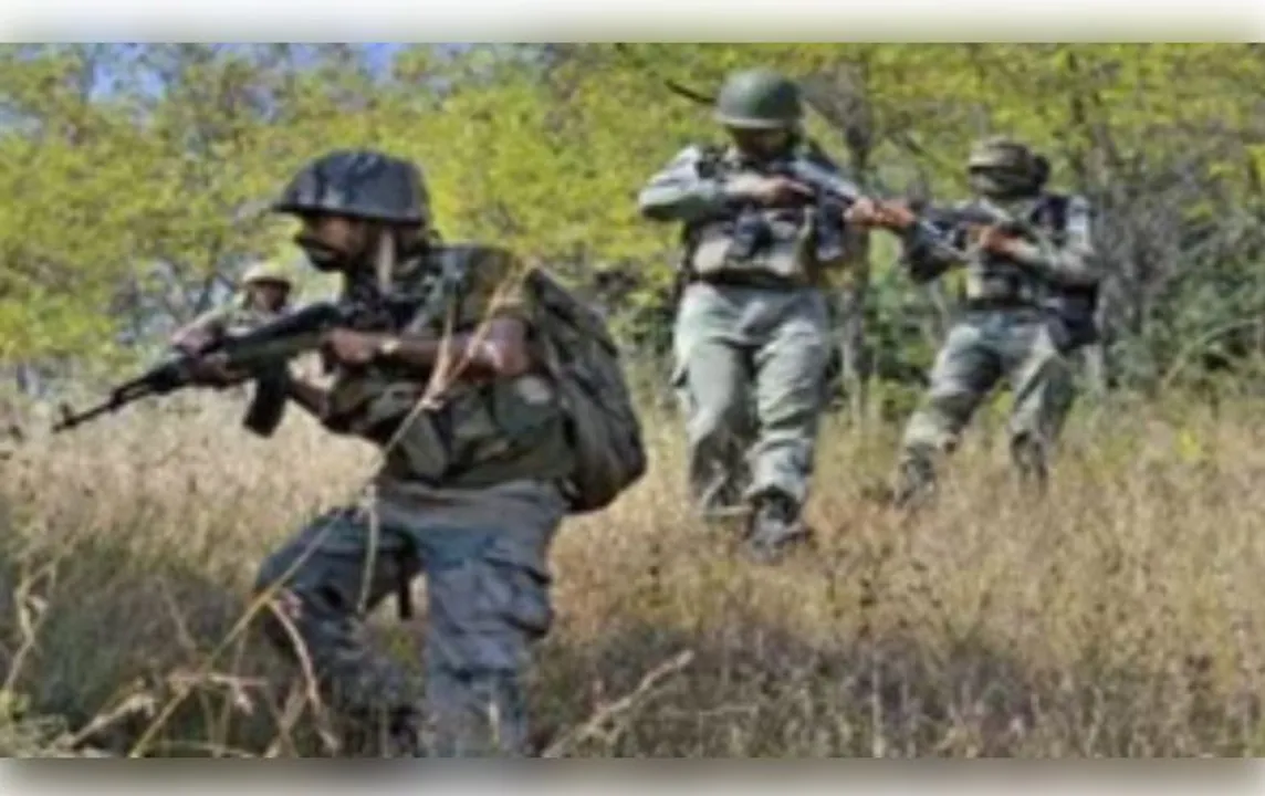  Woman among two Maoists killed in encounter in Jharkhand's Chaibasa