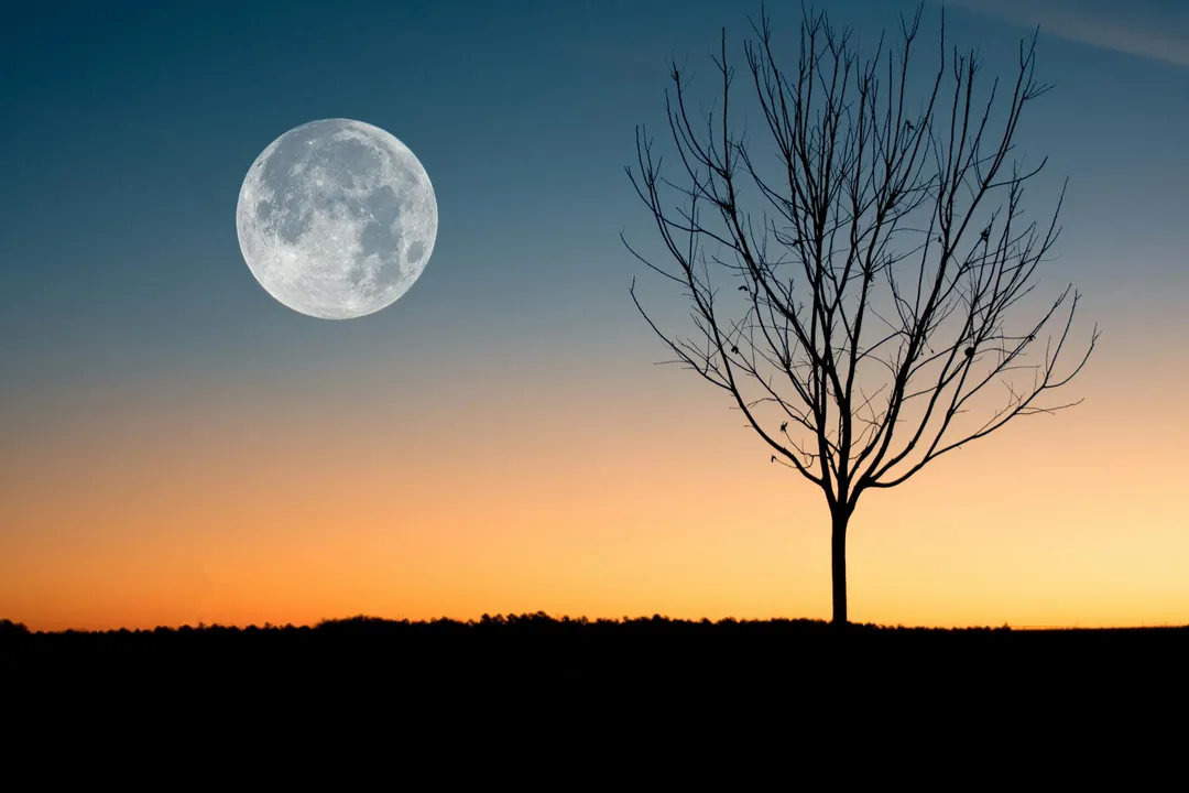  Purnima in February 2025 Date, Tithi Time, Significance, Rituals