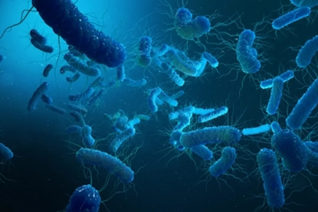  ICMR seeks private partners for joint development of typhoid, paratyphoid vaccine