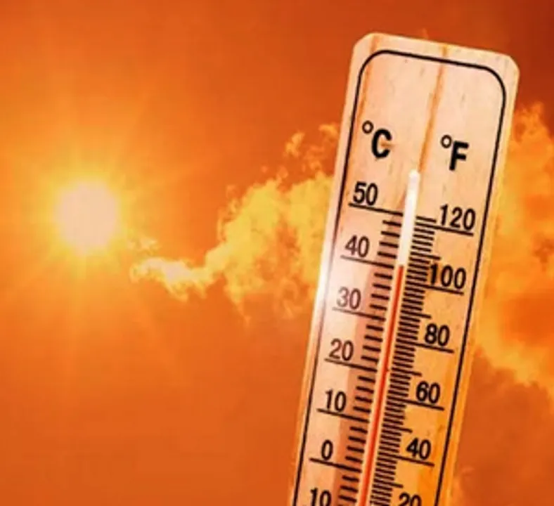  Cities at highest risk as climate change increases heatwave mortality: Study
